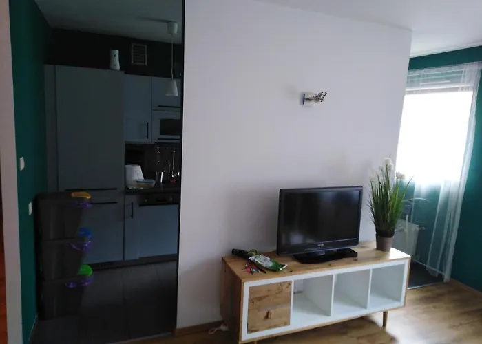 Apartment Apartament Swarzedz Swarzedz